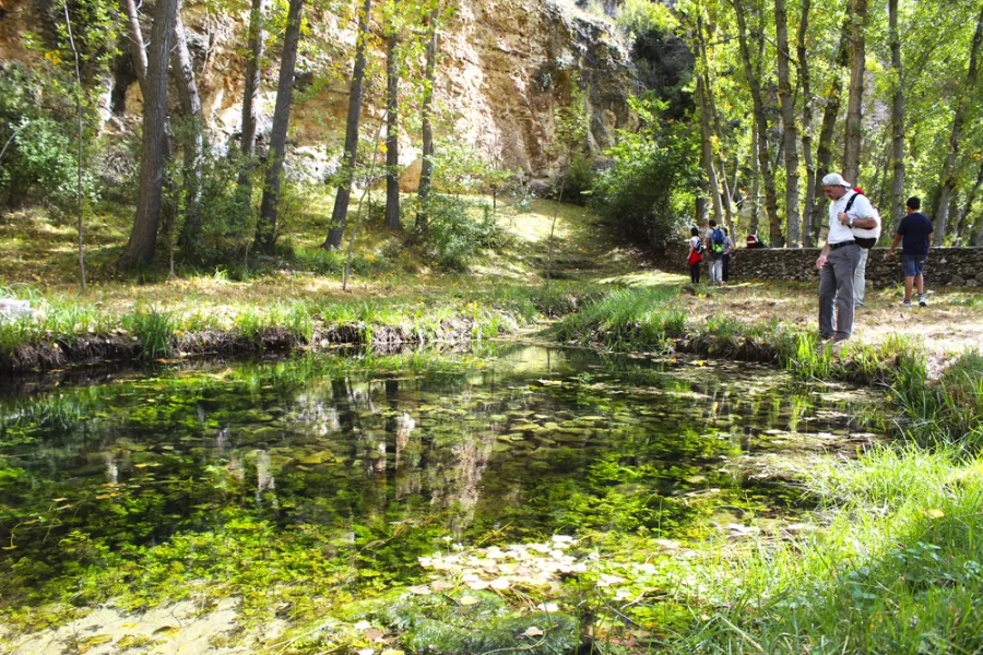 Nacimiento del Río Aguisejo