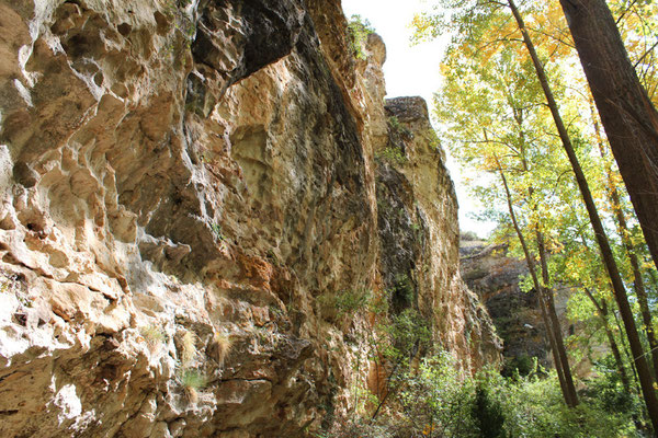 Nacimiento del Ro Aguisejo